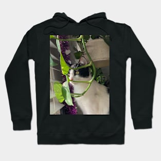 Demogorgon cat (infected_666's cat) Hoodie